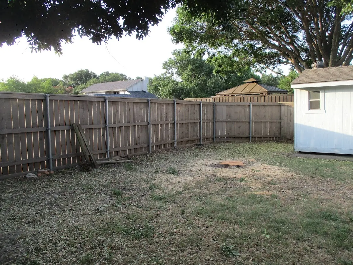 Cleared yard after professional tree removal in Campbellsburg